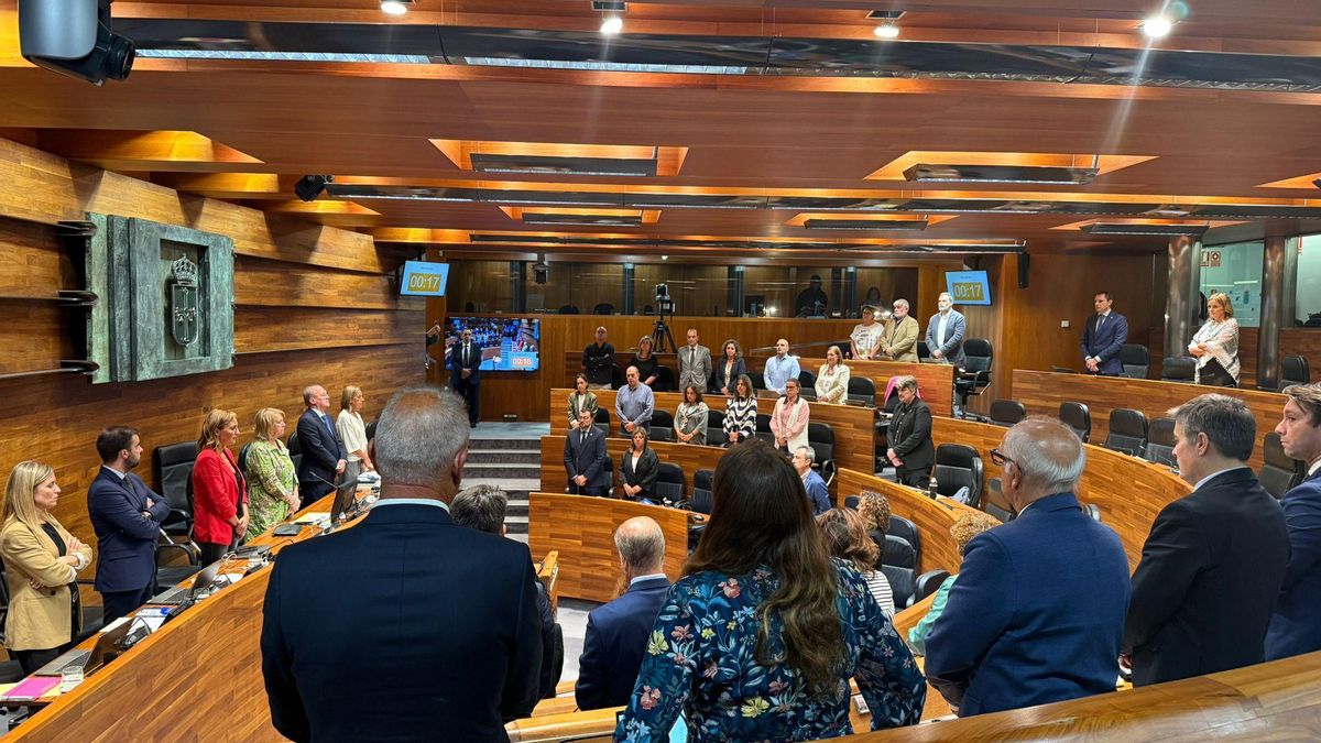 Los diputados asturianos en pie contra el genocidio en Gaza, con los asientos de Vox vacíos.