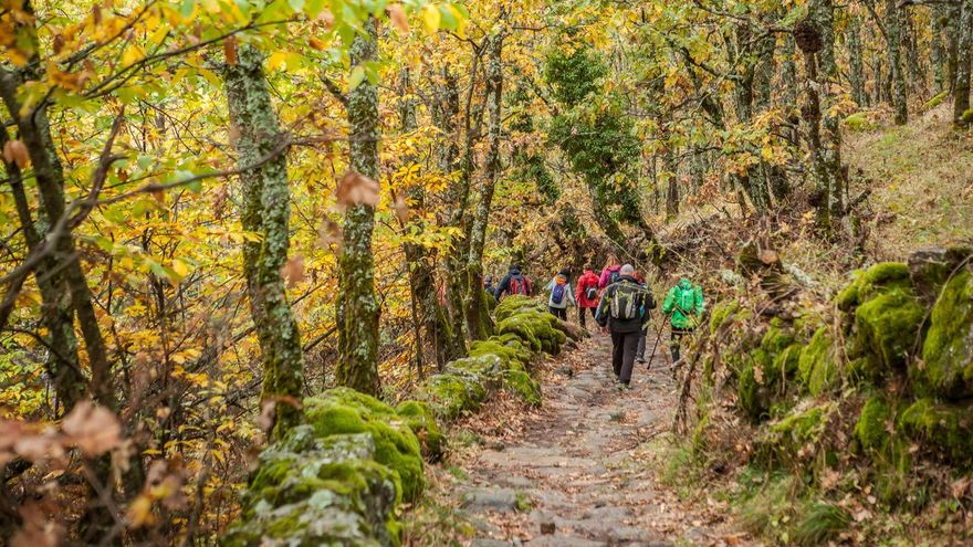 Otoño en el Valle del Ambroz: castaños, colores y pueblos tranquilos para una escapada