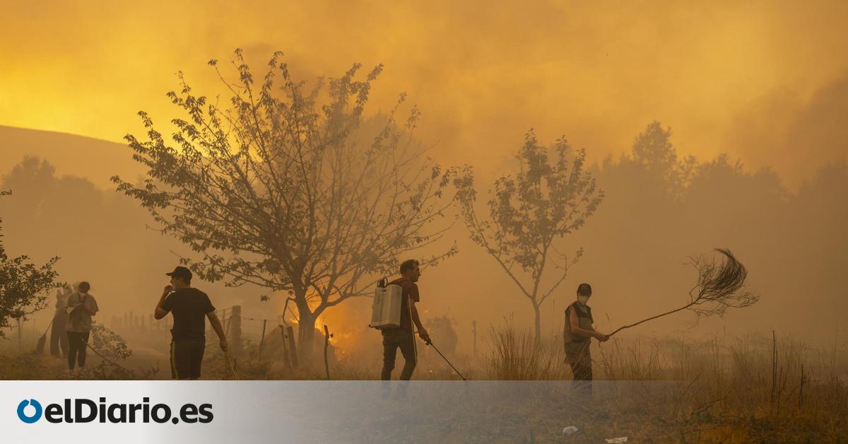  No nos dejan limpiar el monte : pese a las quejas de algunos vecinos, la ley obliga a los propietarios a mantener sus parcelas