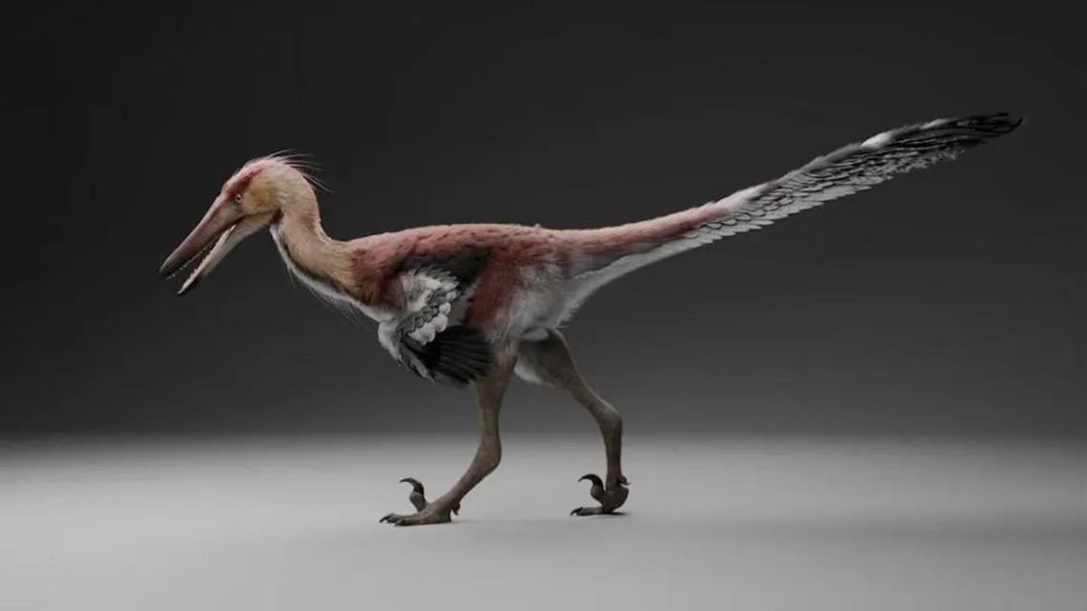 Hallan restos fósiles de una nueva especie de dinosaurio raptor en Santa Cruz