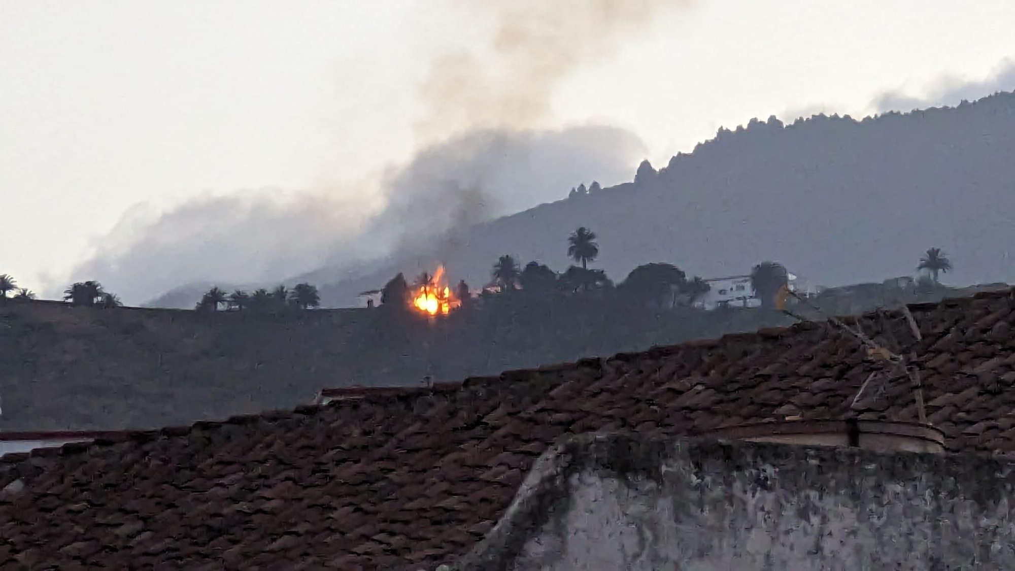 Incendio de una palmera en el Risco de La Concepción.