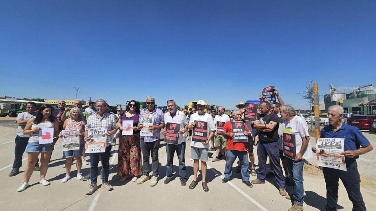 Los agricultores de Guadalajara reclaman a la Junta suprimir la norma que está impidiendo la recogida de los cereales