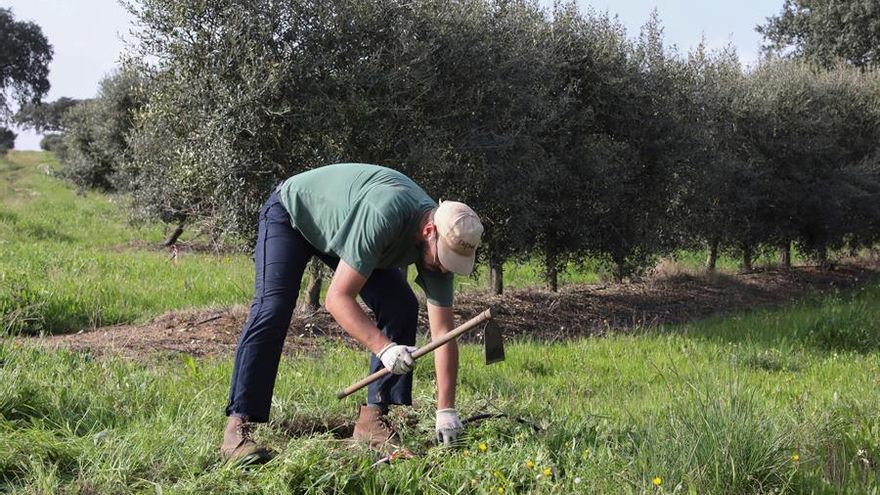 Explotación en Portugal de jornaleros inmigrantes atraídos por el sueño del "pasaporte frambuesa"