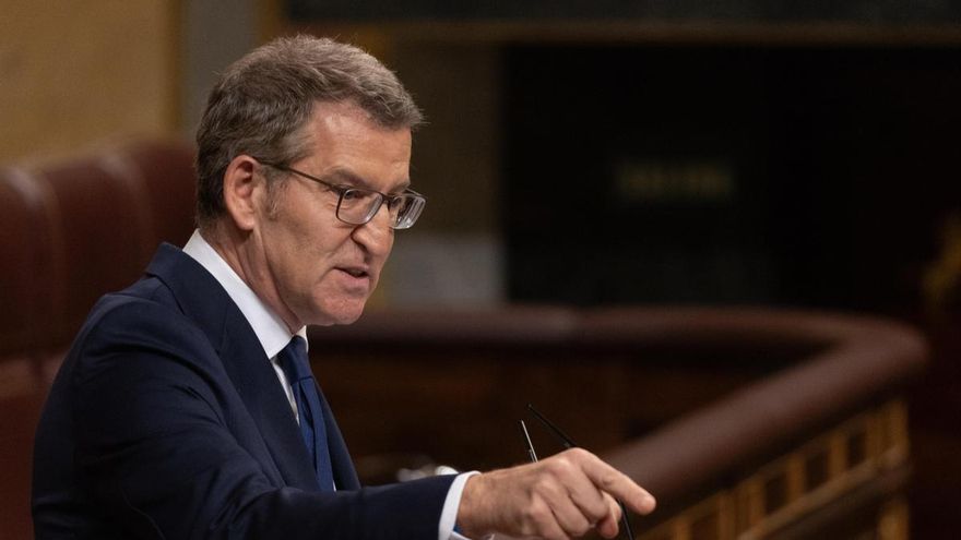 El líder del PP, Alberto Núñez Feijóo, interviene durante una sesión plenaria, en el Congreso de los Diputados, a 10 de abril de 2024, en Madrid (España)