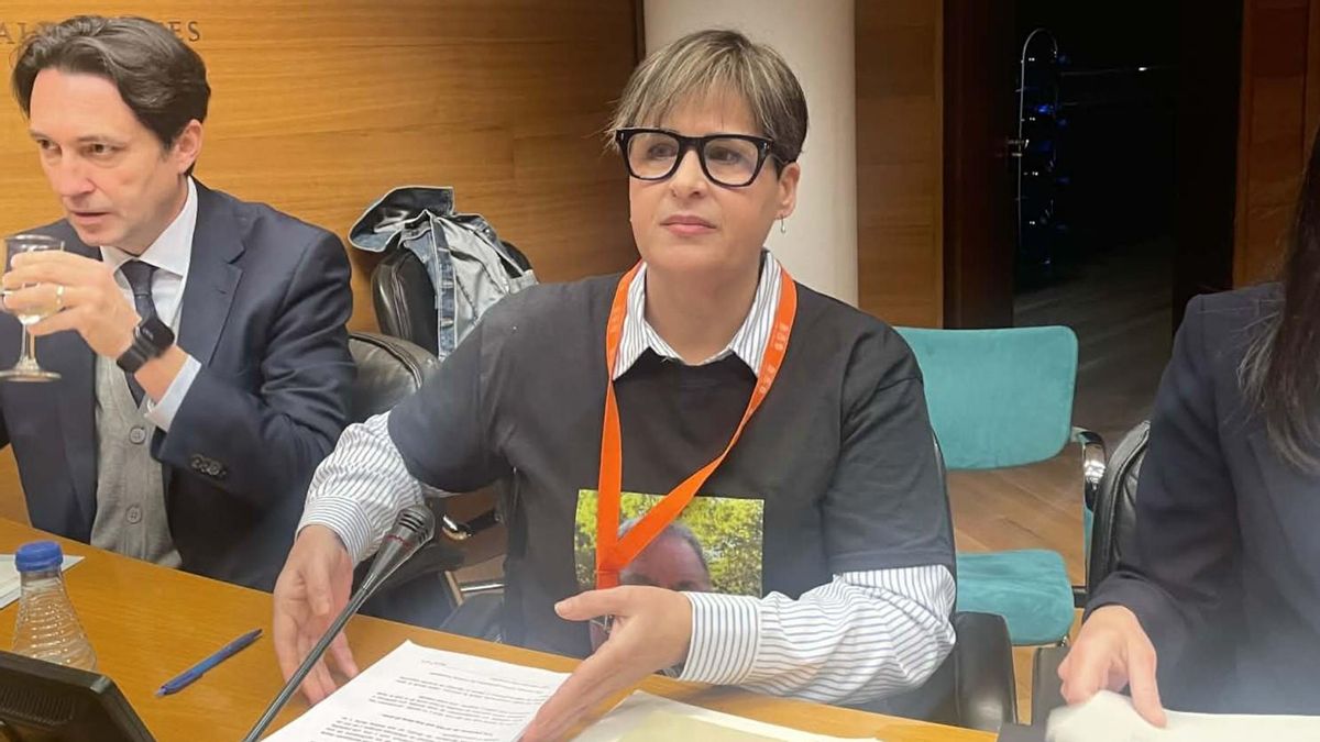 Dos asociaciones de víctimas de la dana piden en la comisión de las Corts que Mazón deje su escaño