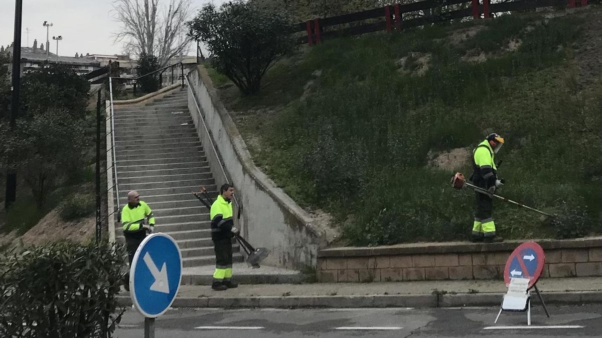 Jardineros podan un zona verde con unas escaleras centrales.