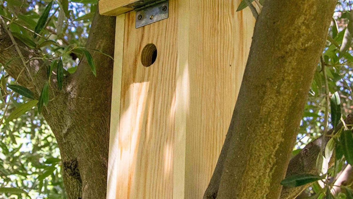 El 'Dehesafío' vuelve por cuarto año consecutivo para instalar nidales en Los Pedroches