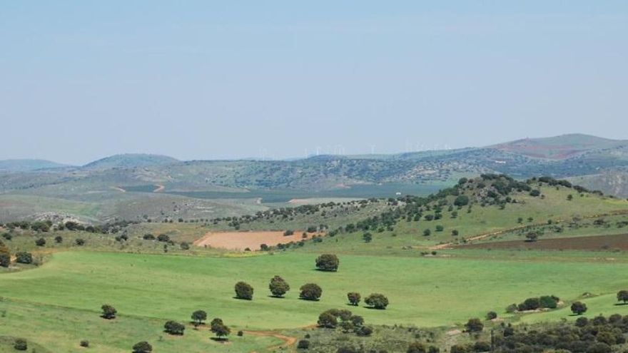 Cuatro años para consolidar el Geoparque Volcanes de Calatrava: "Hay tanto que hacer que para qué nos vamos a pelear"