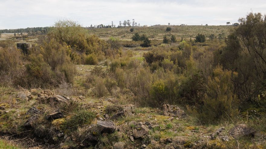 Los trámites para el veredicto sobre la planta de Altri se aceleran tres años después