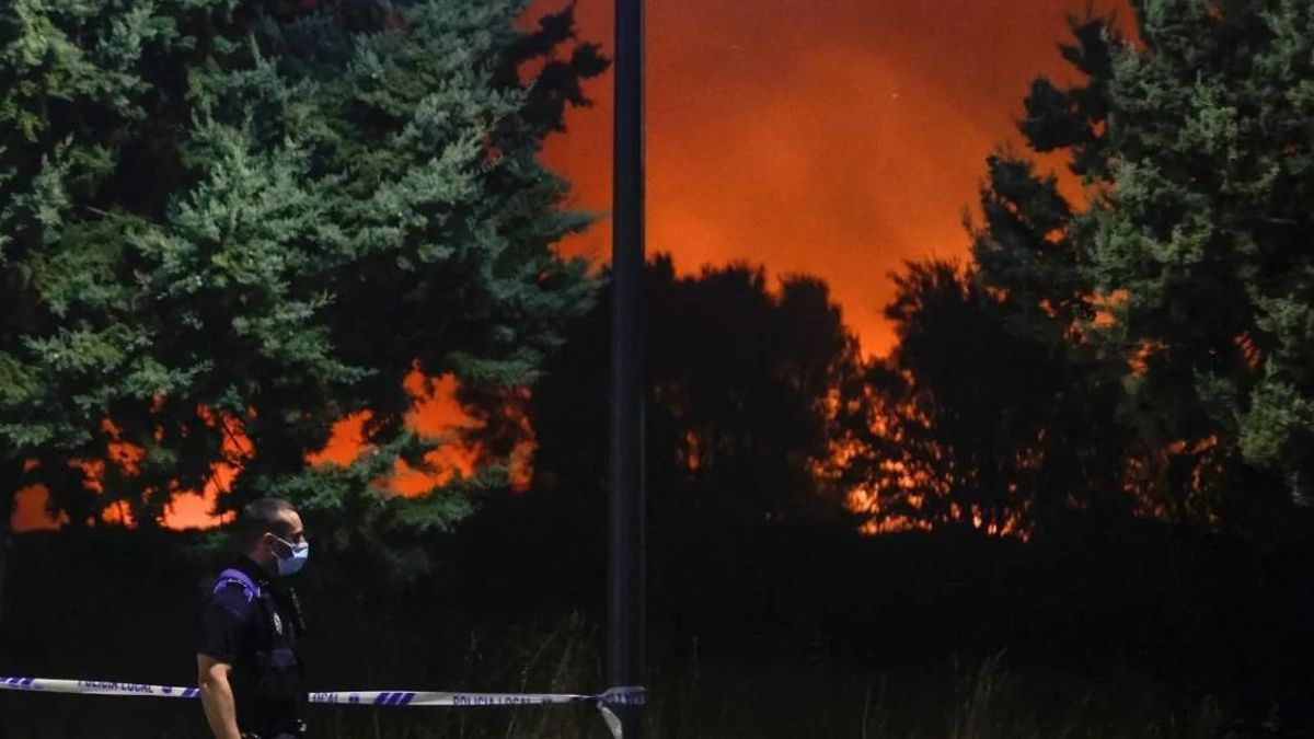 Un agente perimetra una parcela afectada por el incendio de Tres Cantos en la noche del pasado lunes.