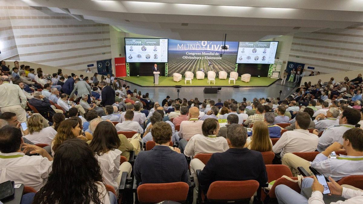 Mundolivar vuelve a Córdoba como el gran foro mundial del negocio del aceite de oliva