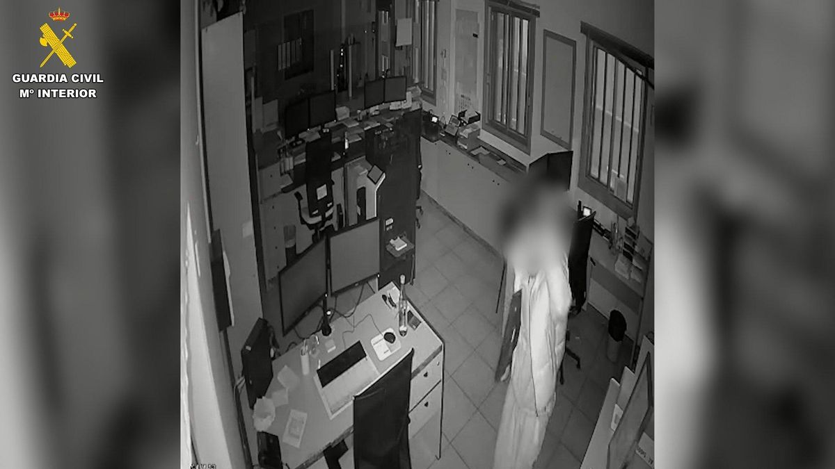 El presunto ladrón, captado por la cámara de seguridad de la empresa.