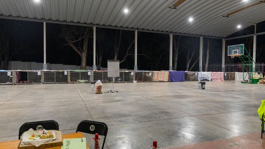 Refugio de animales en La Palma. / FOTO: JOSÉ BRINGAS