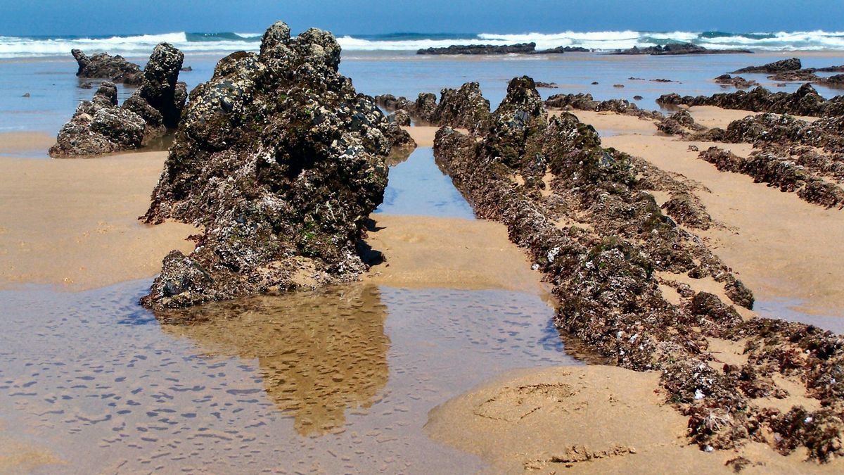 La disposición del terreno favorecía emboscadas coordinadas,