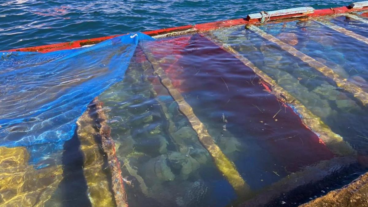 Foto de archivo de un cayuco hundido en el puerto de Arguineguín (Gran Canaria). EFE/José María Rodríguez