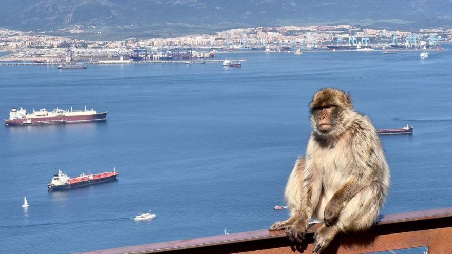 Qué supone el acuerdo entre España y el Reino Unido sobre el nuevo estatus de Gibraltar tras el Brexit