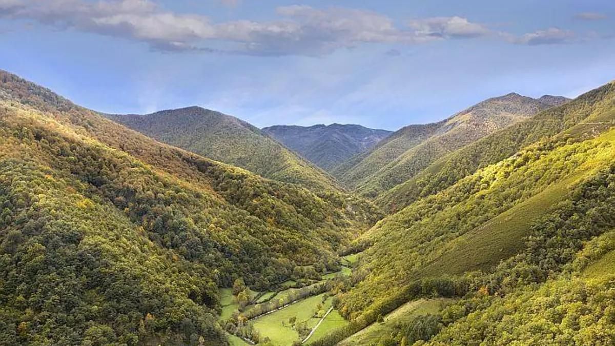 ¿Está en riesgo la protección de Muniellos?: Grupos ecologistas y el Gobierno de Asturias discrepan