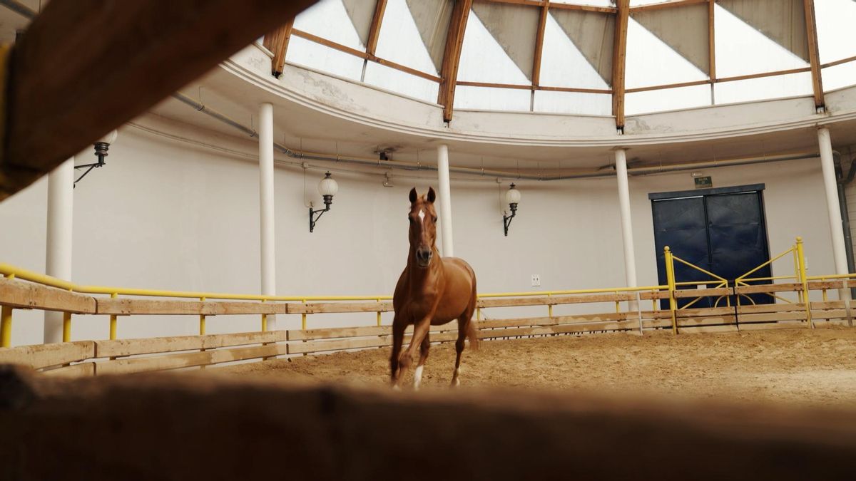 La Parada de Sementales vuelve a la Universidad de Córdoba