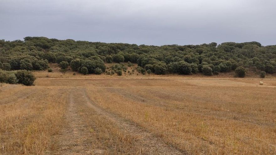 El macrovertedero industrial de San Justo en cifras: 20 años para enterrar tres millones de toneladas de residuos