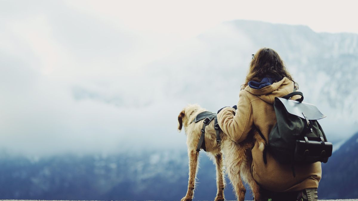 Para muchos, la compañía de su animal es parte del viaje.