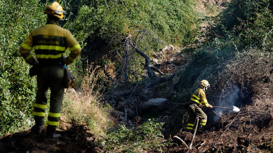 Situación "favorable" del incendio de Ávila, que sufre reactivaciones durante la noche