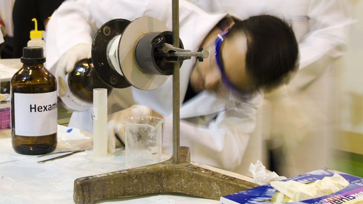 Moléculas que hacen moléculas