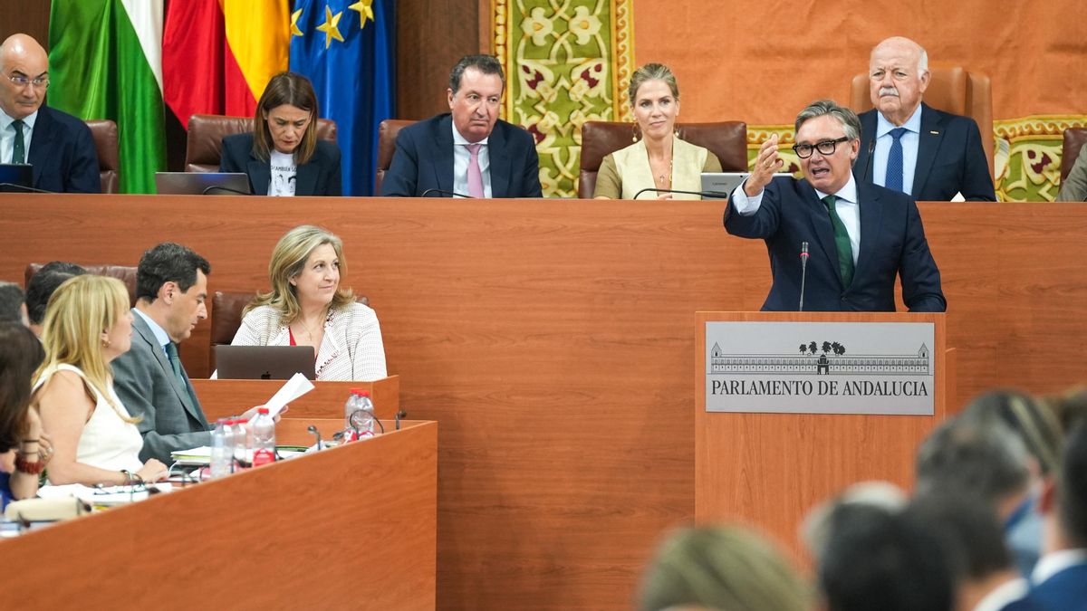 El portavoz de Vox en Andalucía, Manuel Gavira, interviene en la sesión de investidura de Juanma Moreno.