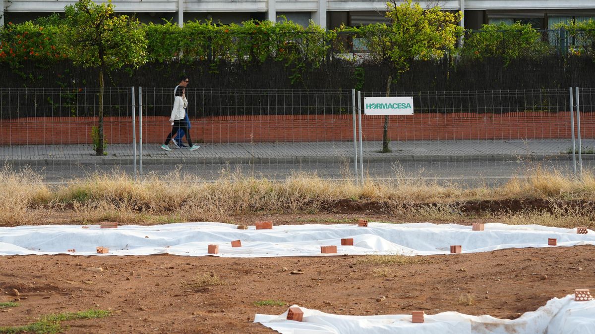 Restos arqueológicos de la Ronda Norte tapados