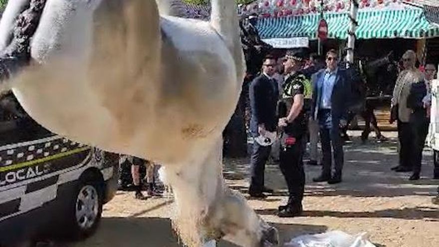La muerte de un caballo aviva el debate del trato que reciben en la Feria de Abril