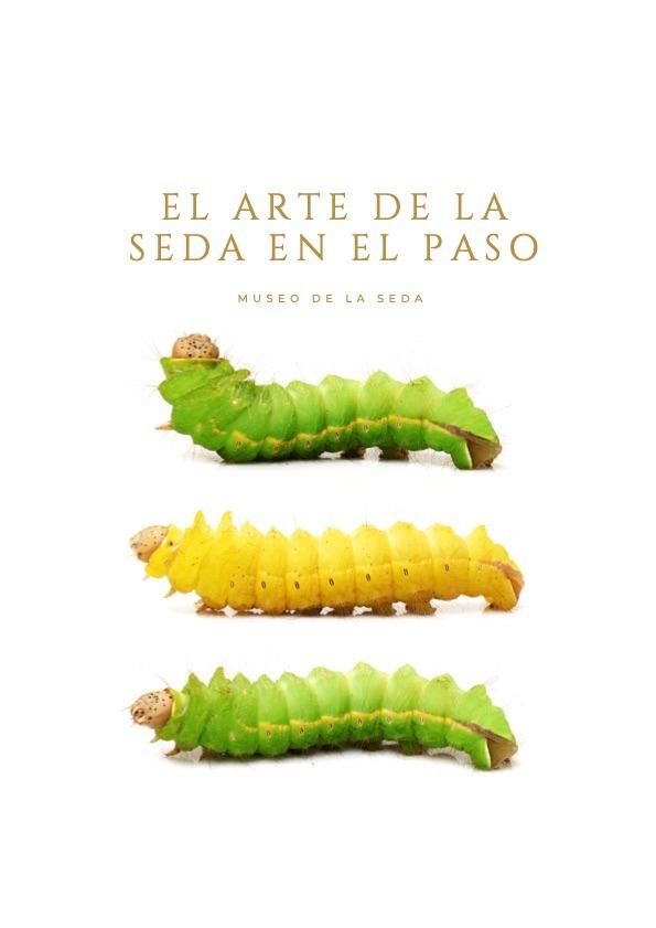 Cartel de Museo de la Seda de El Paso.