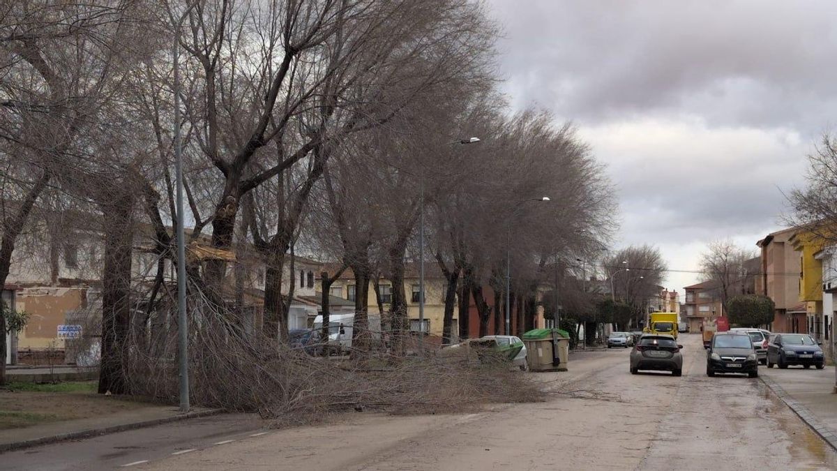 Consuegra (Toledo) el 28 de enero de 2026
