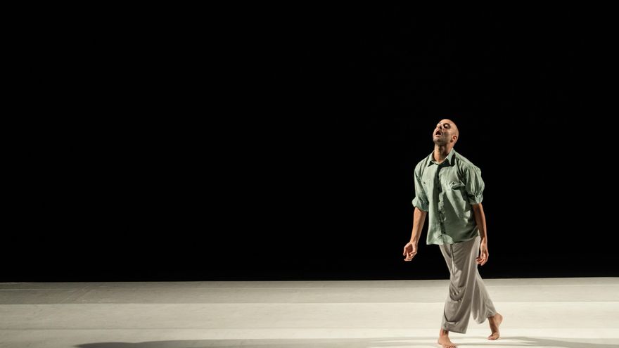 El lenguaje renace en la danza de Jesús Rubio