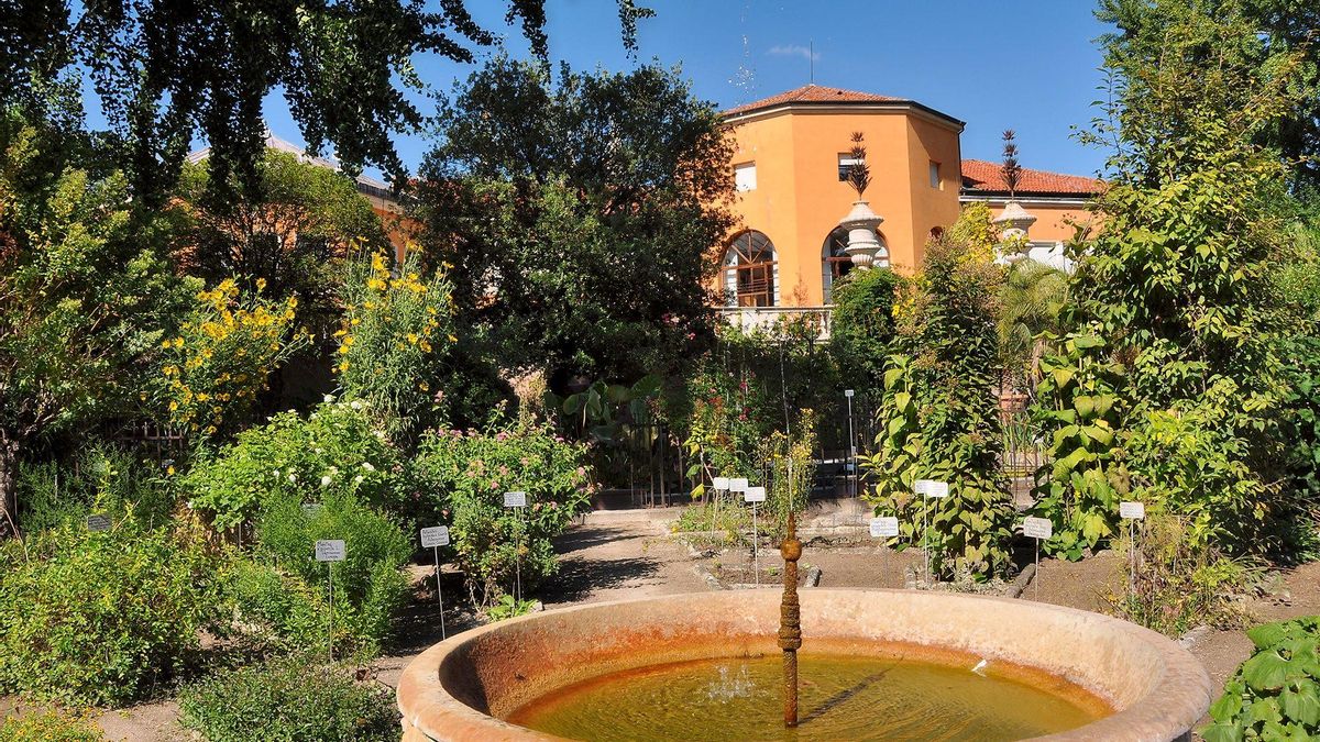 Jardín Botánico de la Universidad de Padua.