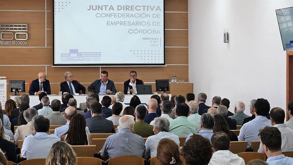 CECO pide al Gobierno que refuerce la potencia eléctrica del Norte de la provincia antes de 2030