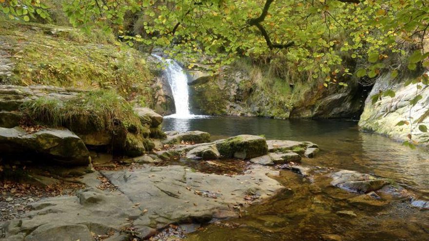 Esta ruta asturiana de 14 kilómetros y un desnivel de 600 metros incluye hayas, robles, pozas y cascadas