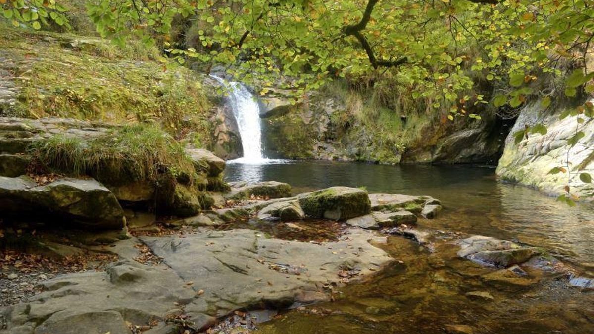 Esta ruta asturiana de 14 kilómetros y un desnivel de 600 metros incluye hayas, robles, pozas y cascadas