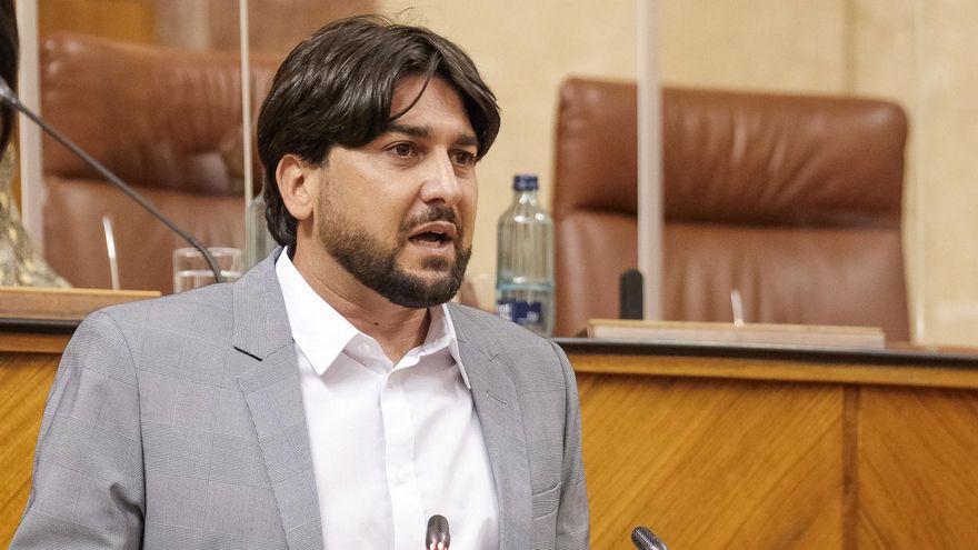 El parlamentario de Adelante Andalucía Ismael Sánchez, en el Pleno de la Cámara.