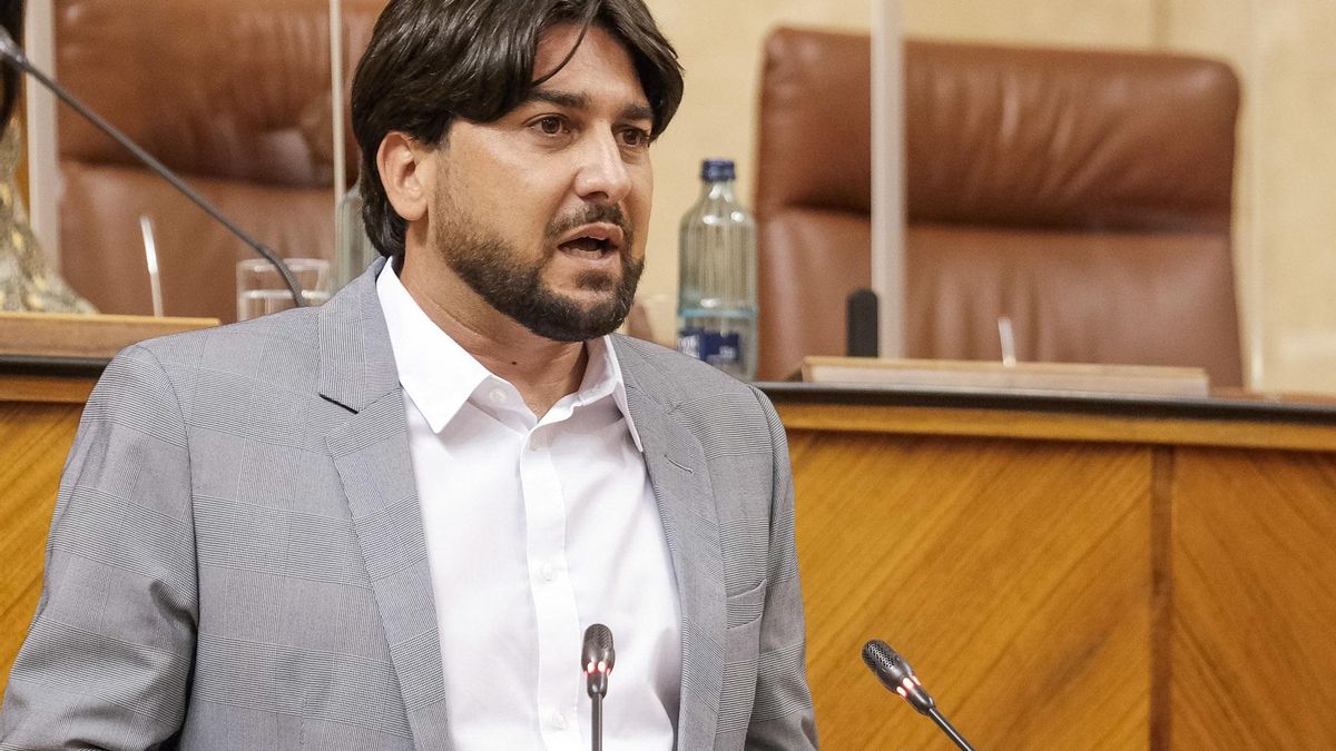 El parlamentario de Adelante Andalucía Ismael Sánchez, en el Pleno de la Cámara.