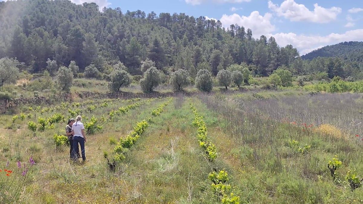 Recuperar la tierra, gestionar el agua y hacer comunidad: un proyecto que crece a orillas de un río entre Aragón y Catalunya
