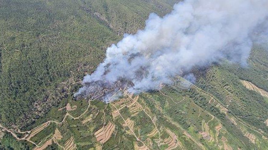 Incendio de Los Realejos, visto desde uno de los helicópteros que trabajan en la zona