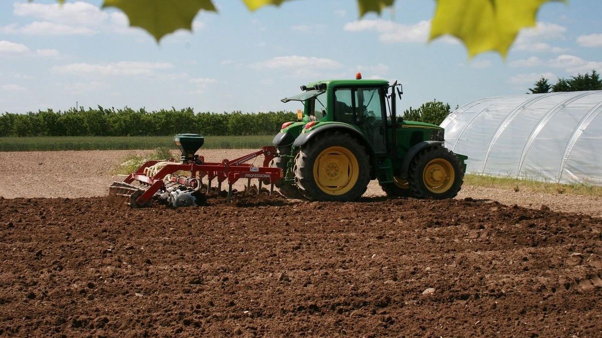 El campo tracciona la economía, pero también con evasión.
