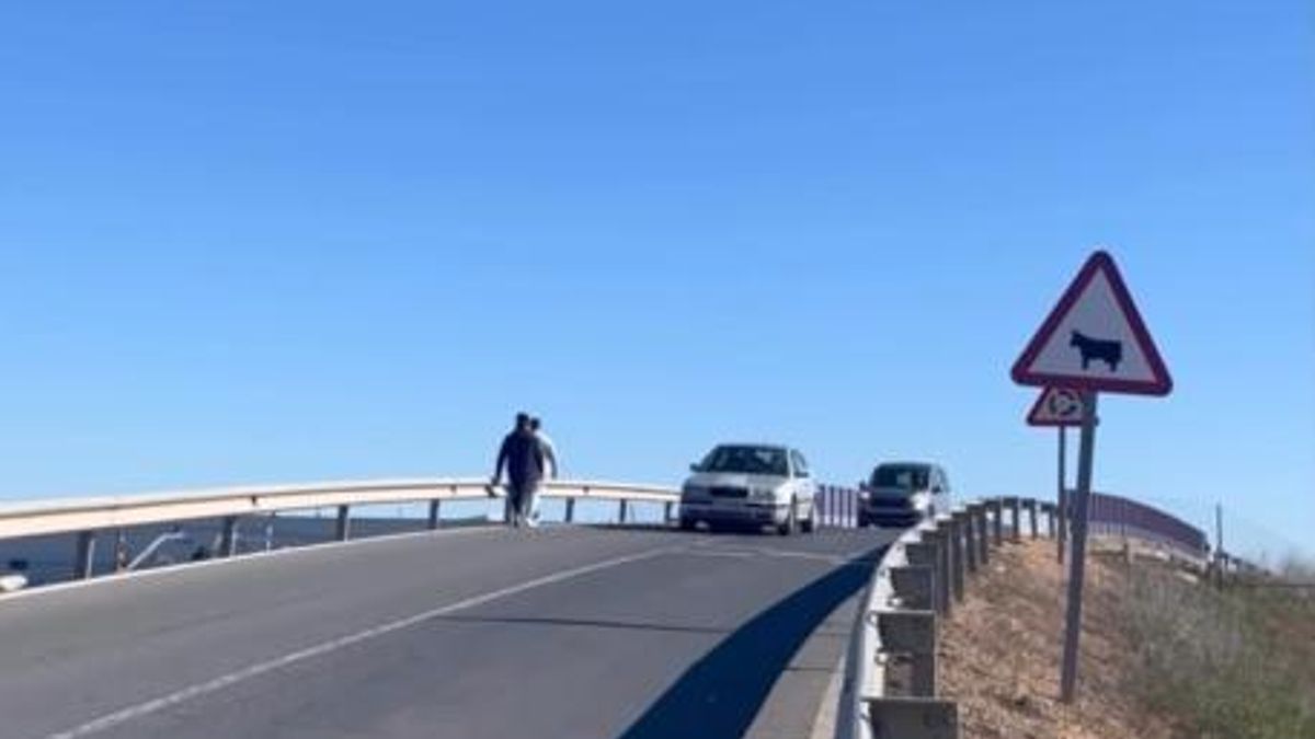 Recogen firmas para construir una pasarela peatonal en Campo de Criptana: "Los sustos y el peligro son constantes"