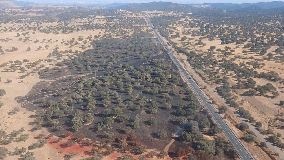 Incendio en la N 432 a la altura de El Vacar.