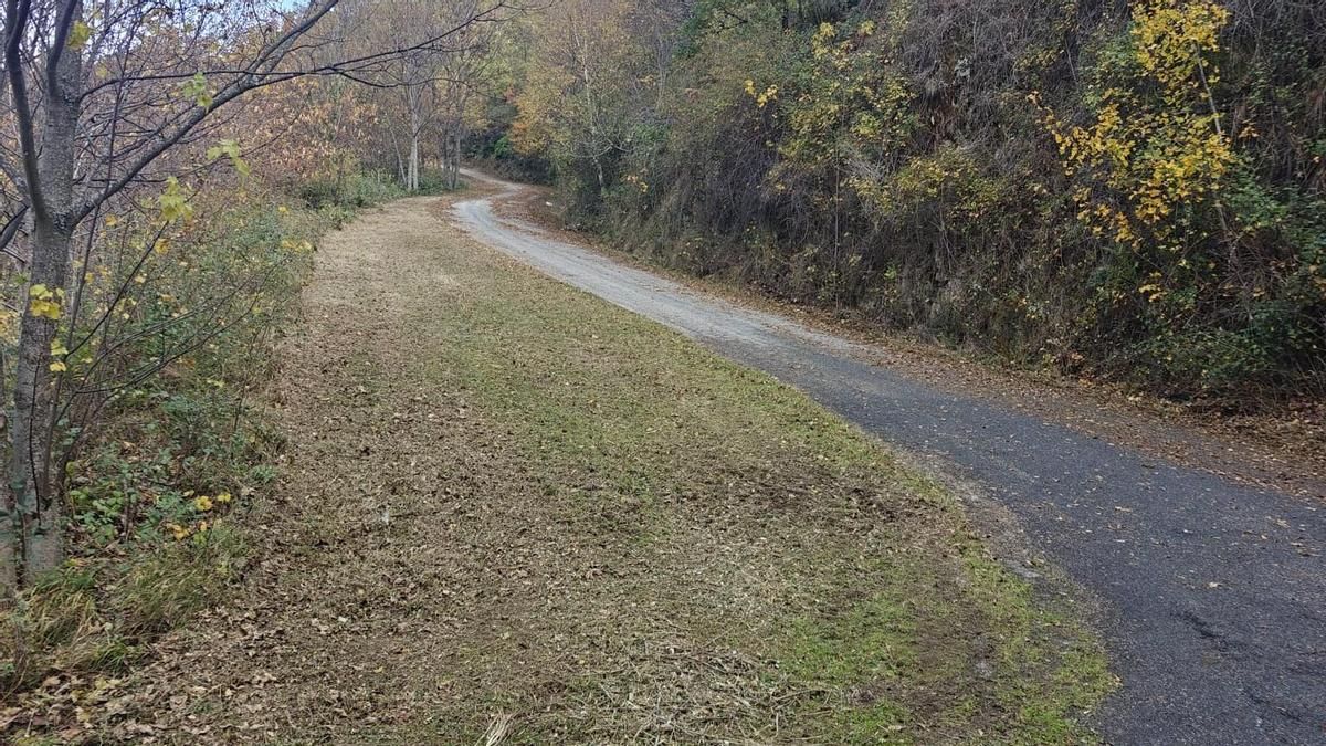Ponferrada desbroza las márgenes del acceso a Carracedo de Compludo y exige a Diputación obras de mantenimiento