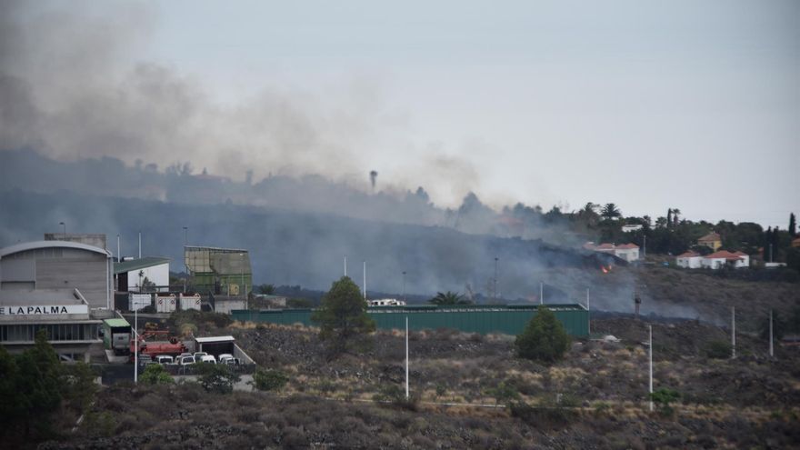 La colada de lava en La Palma amenaza a una de las mayores zonas de producción de plátano de Canarias