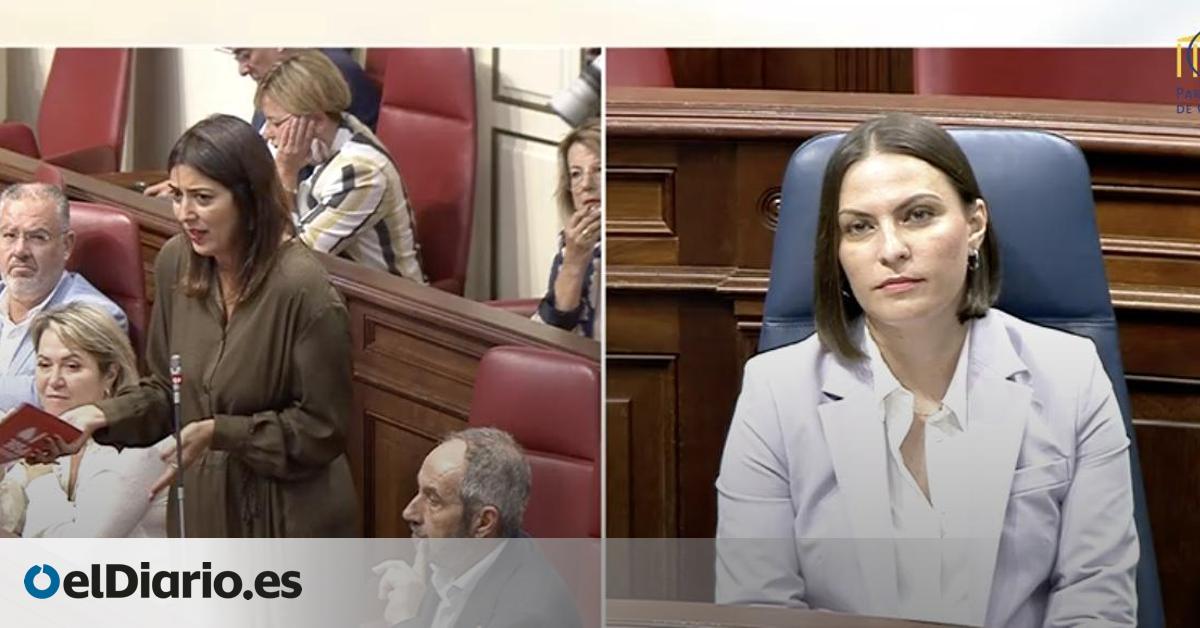 El PSOE dice que la consejera de Universidades defiende los centros privados  sin control  tras el recurso de Canarias al decreto estatal