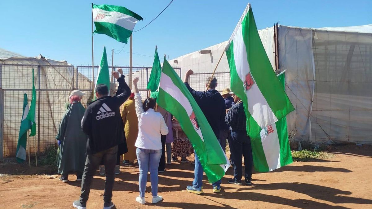 Movilización del Sindicato Andaluz de Trabajadores (SAT) a las puertas de la explotación agrícola