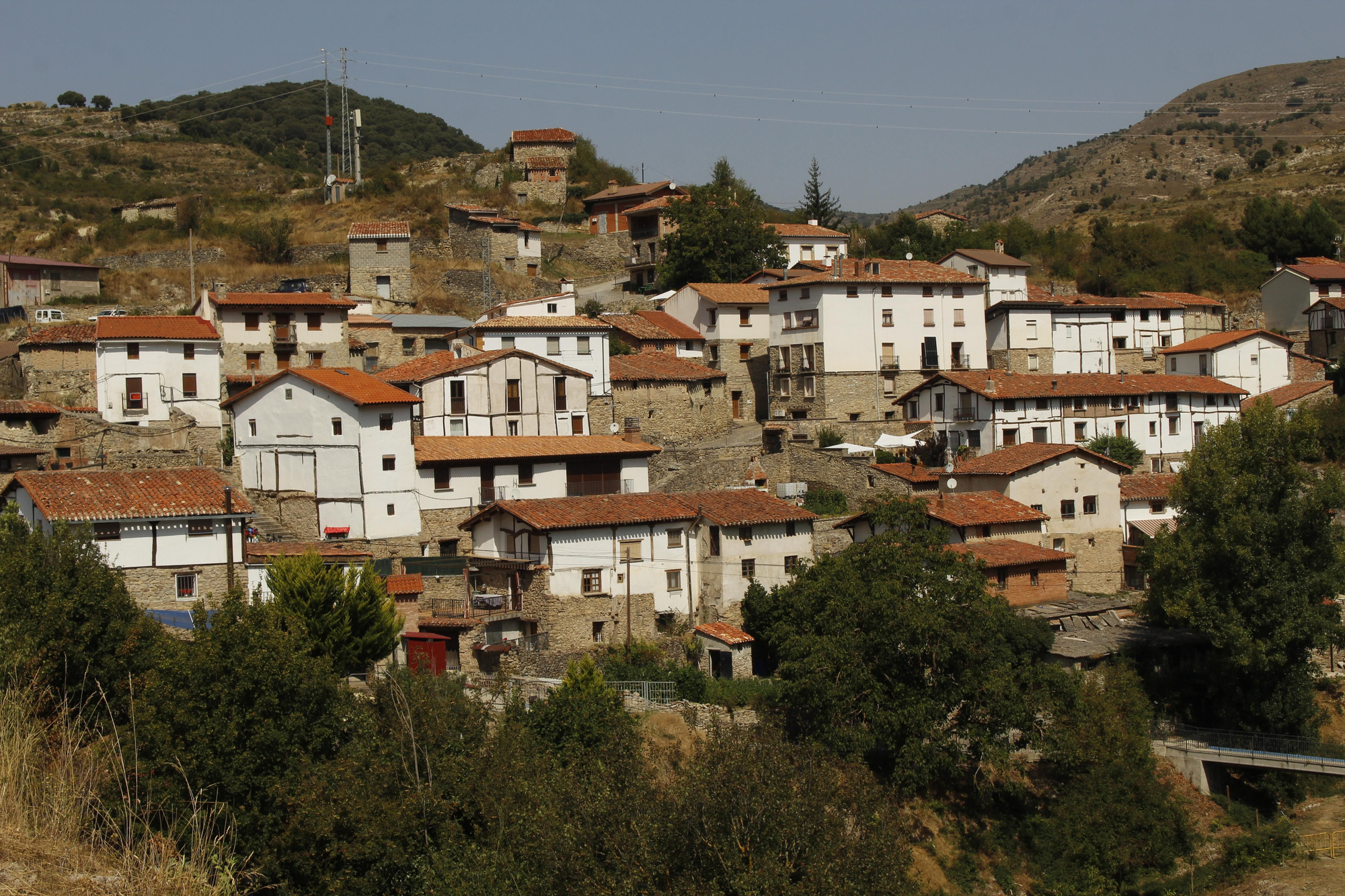 Día del Camero Viejo en Terroba