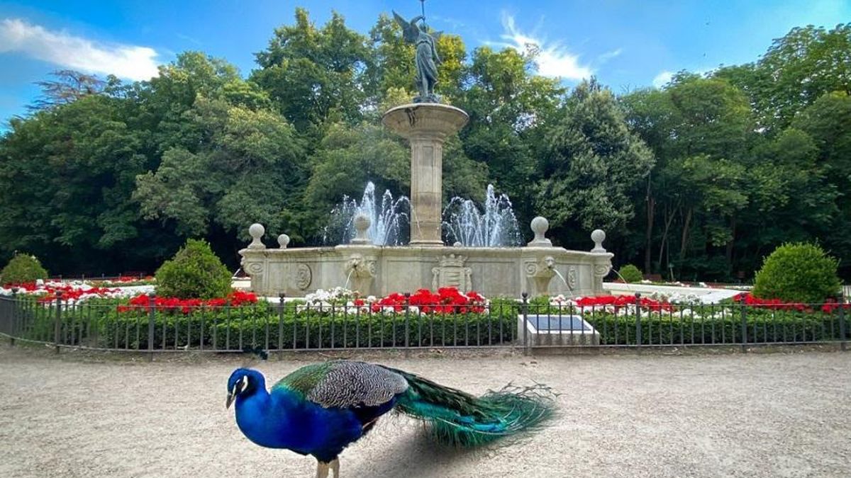 La fuente de La Fama, en Campo Grande (Valladolid).