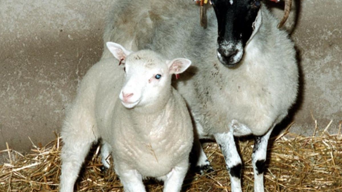 Dolly de pequeña con la madre que le asignaron